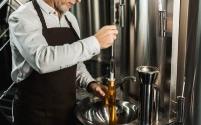 Czym jest fermentor?